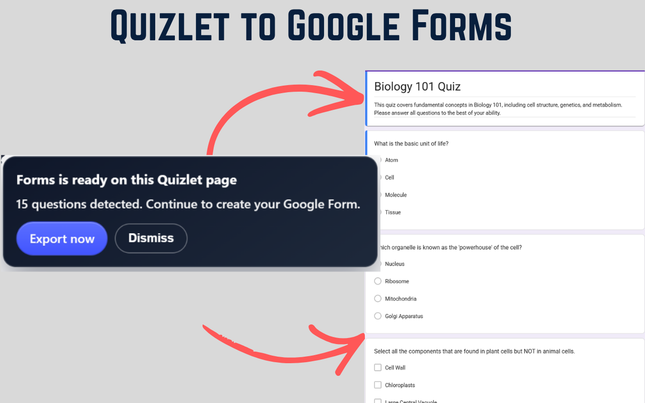 Quizlet to Google Forms Exporter - 截图 3