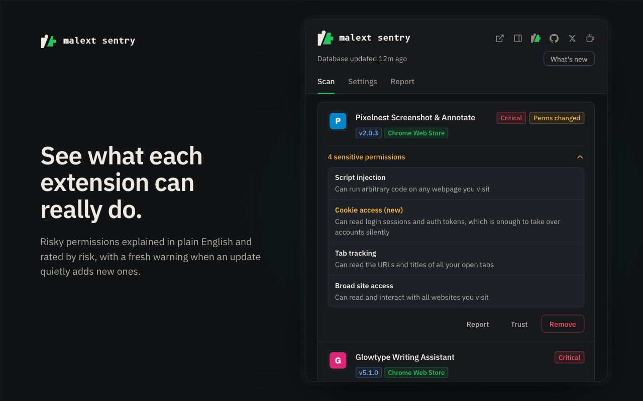 MalExt Sentry - Malicious Browser Extension Scanner - 截图 1
