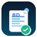 BDBoyz Visa Form Filler