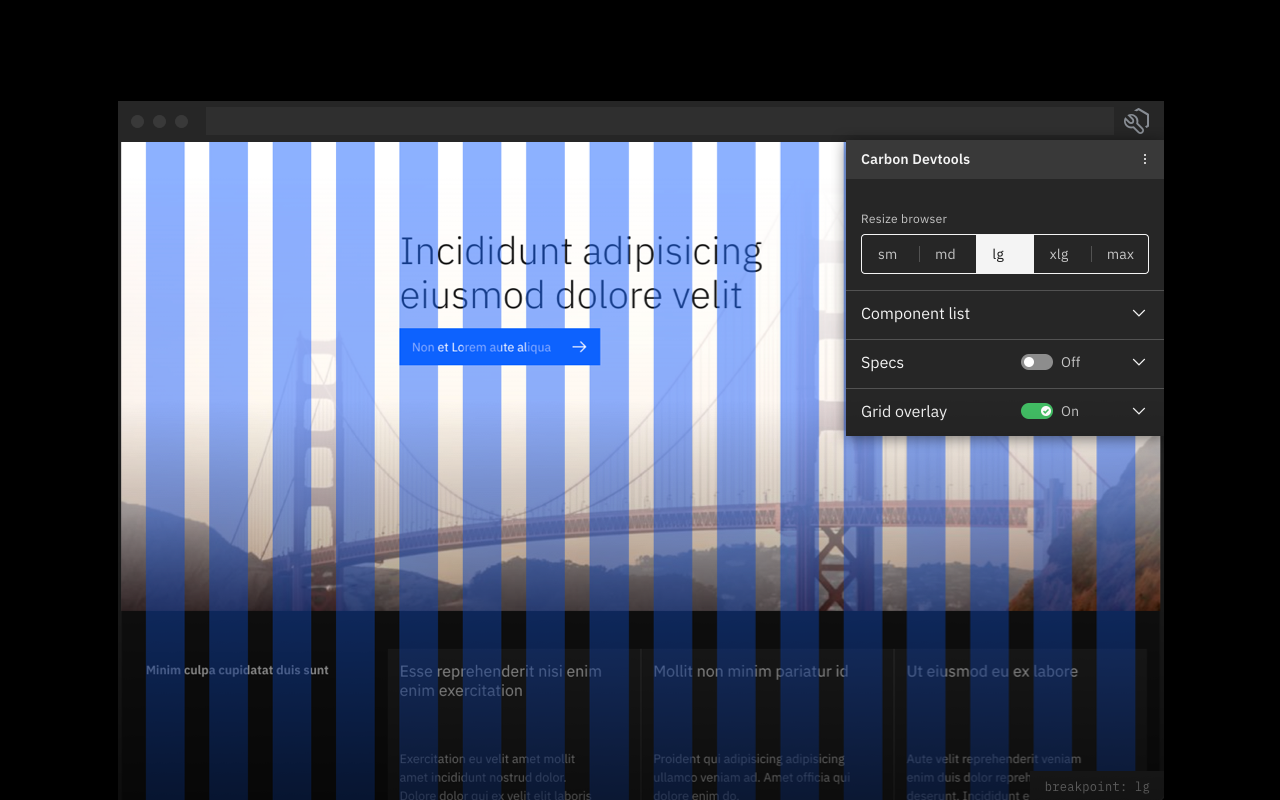 Carbon Devtools - 截图 2