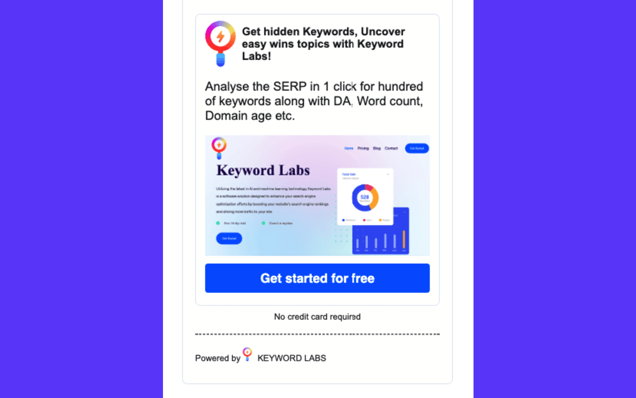 Domain Age Checker Google SERP - Semantic Pen - 截图 4