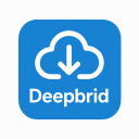 Deepbrid - Browser Extension