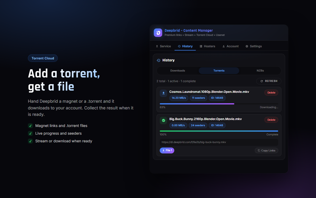 Deepbrid - Browser Extension - 截图 3