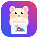 Downloader for Instagram™ - 图片与视频下载助手