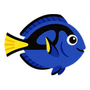 DORy