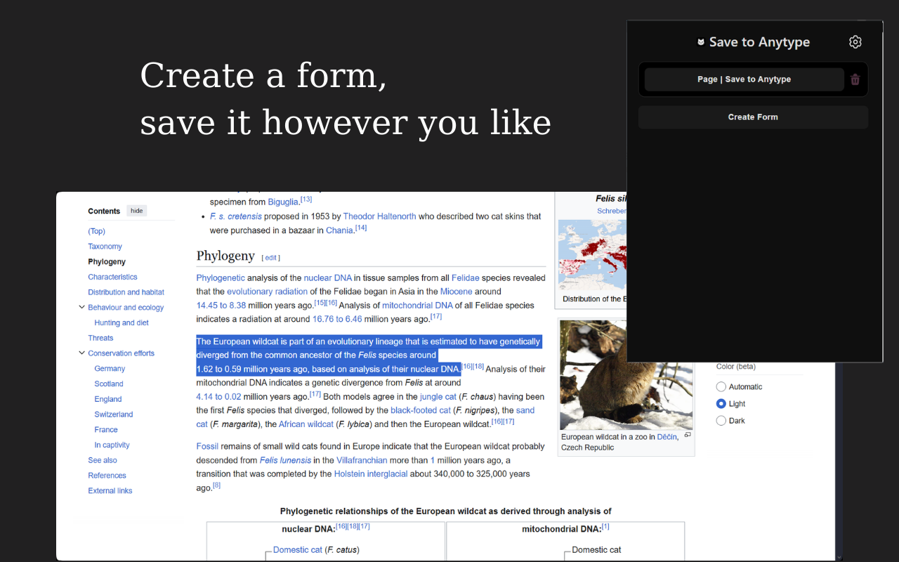 Save to Anytype - 截图 2