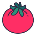 Website Auditor Tool - SmartappS