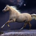 Horse Wallpaper