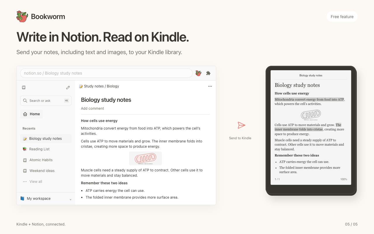 Bookworm for Notion - 截图 4