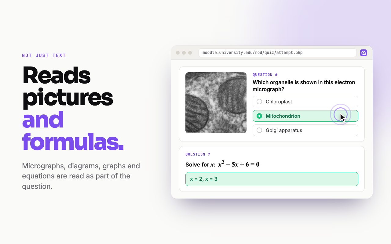 QuizAce: AI Quiz Solver for Canvas, Blackboard, Moodle & Google Forms - 截图 3