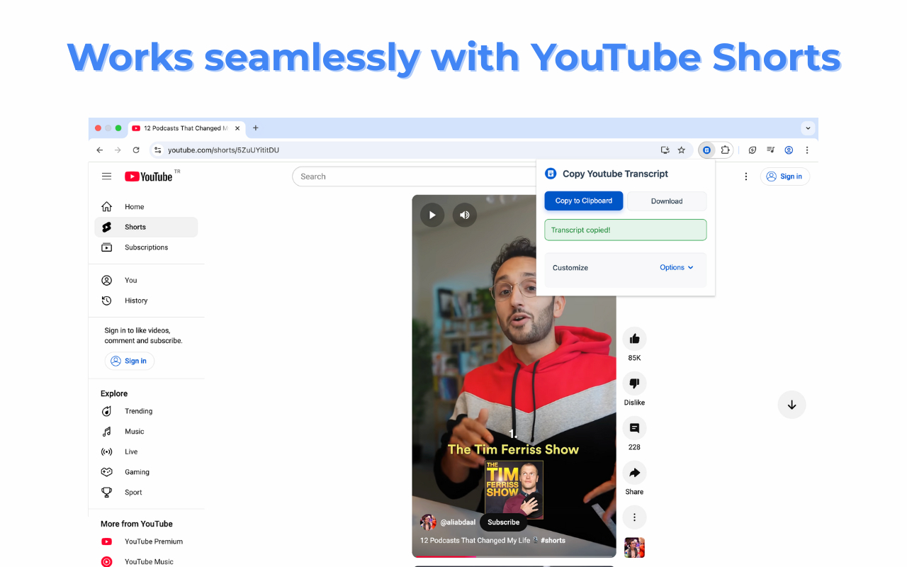 Copy Youtube Transcript - 截图 3