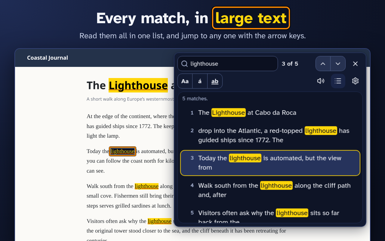 Accessible Find in Page - 截图 3