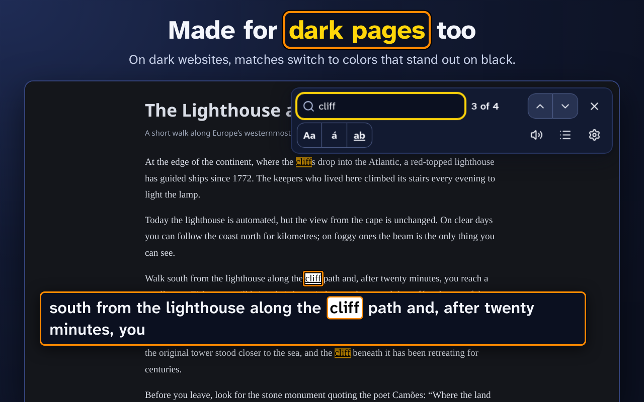 Accessible Find in Page - 截图 5
