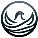 Descrollify — Limit YouTube Shorts