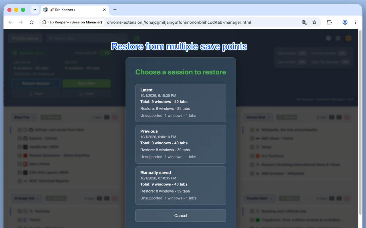 Tab Keeper+ (Session Manager) - 截图 3