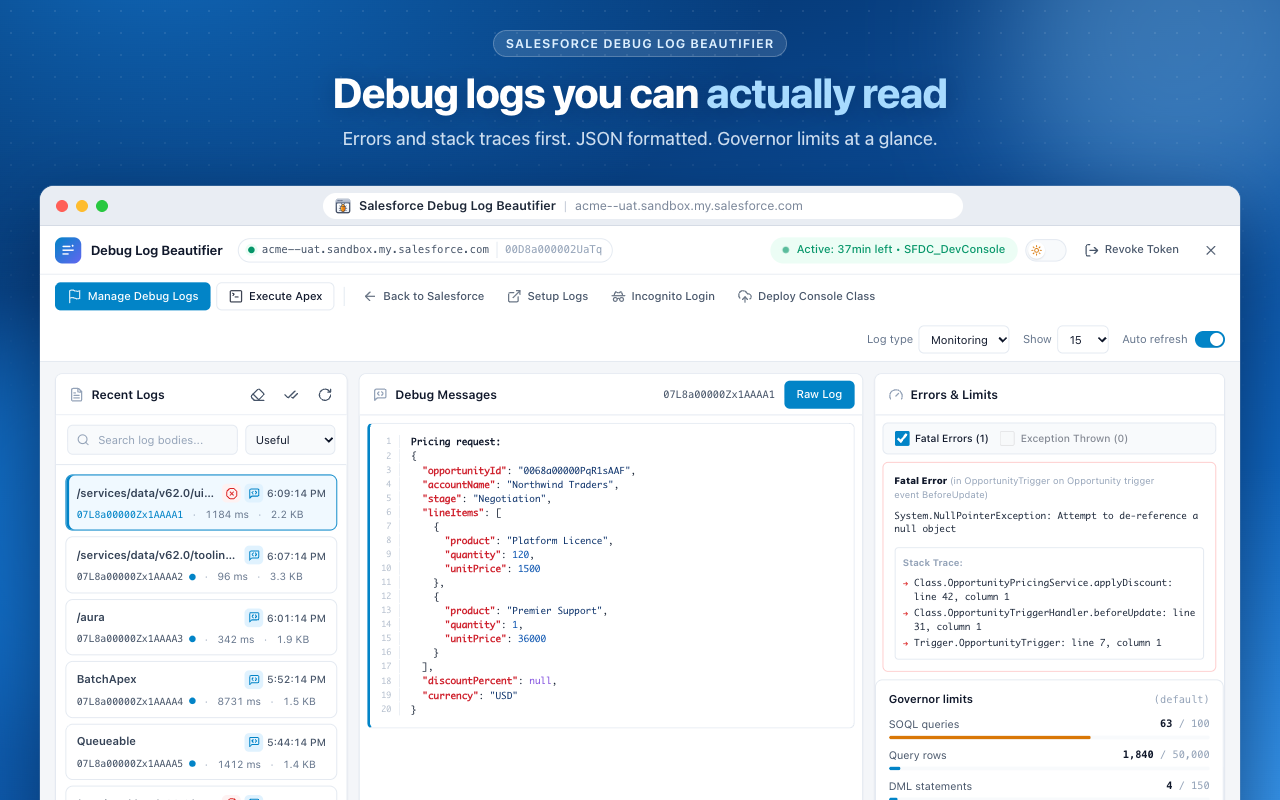 Salesforce Debug Log Beautifier - 截图 1