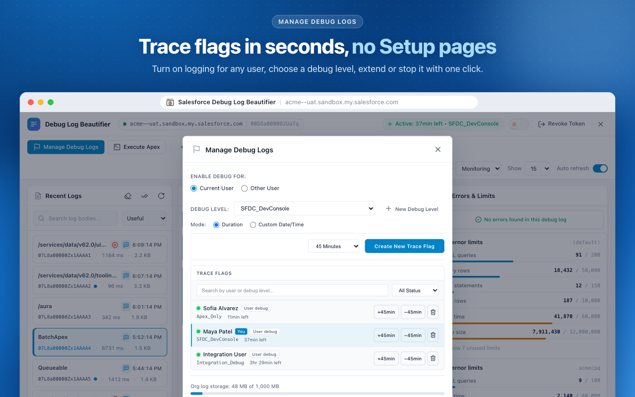Salesforce Debug Log Beautifier - 截图 3
