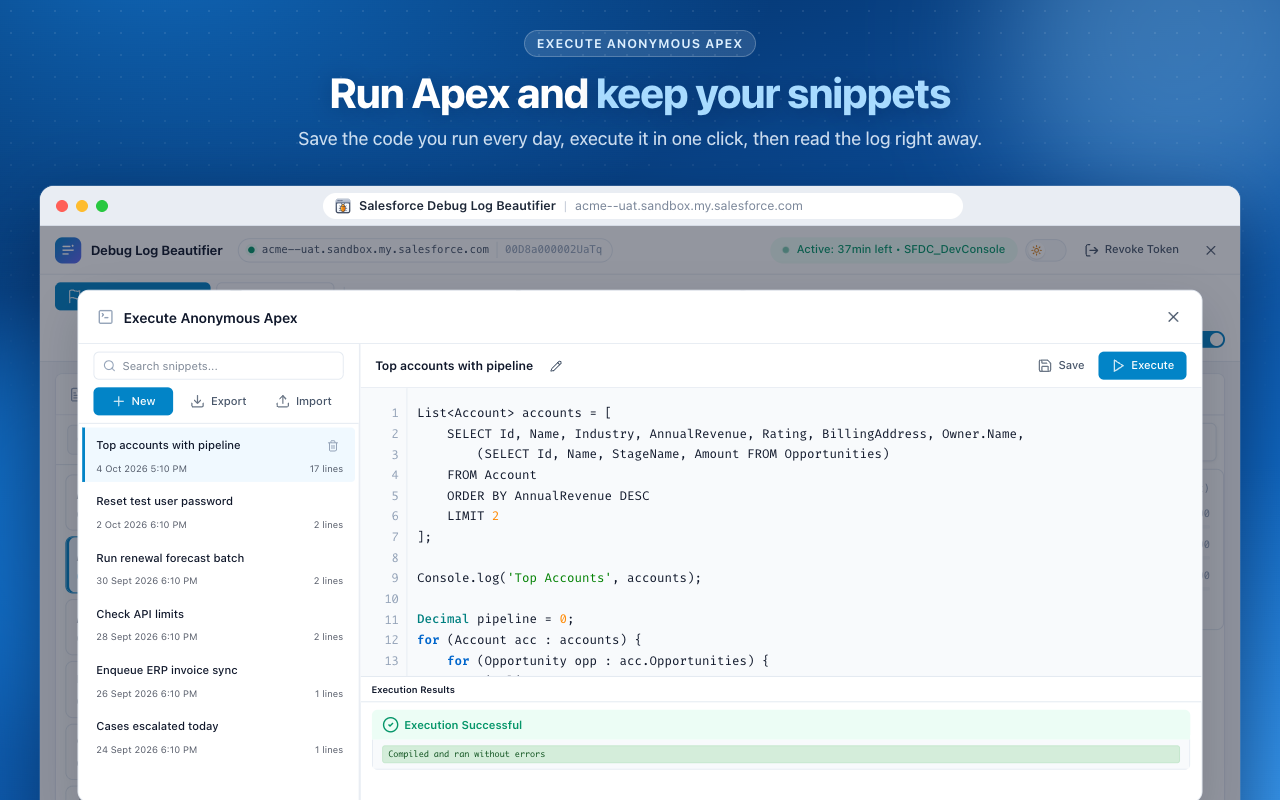 Salesforce Debug Log Beautifier - 截图 4