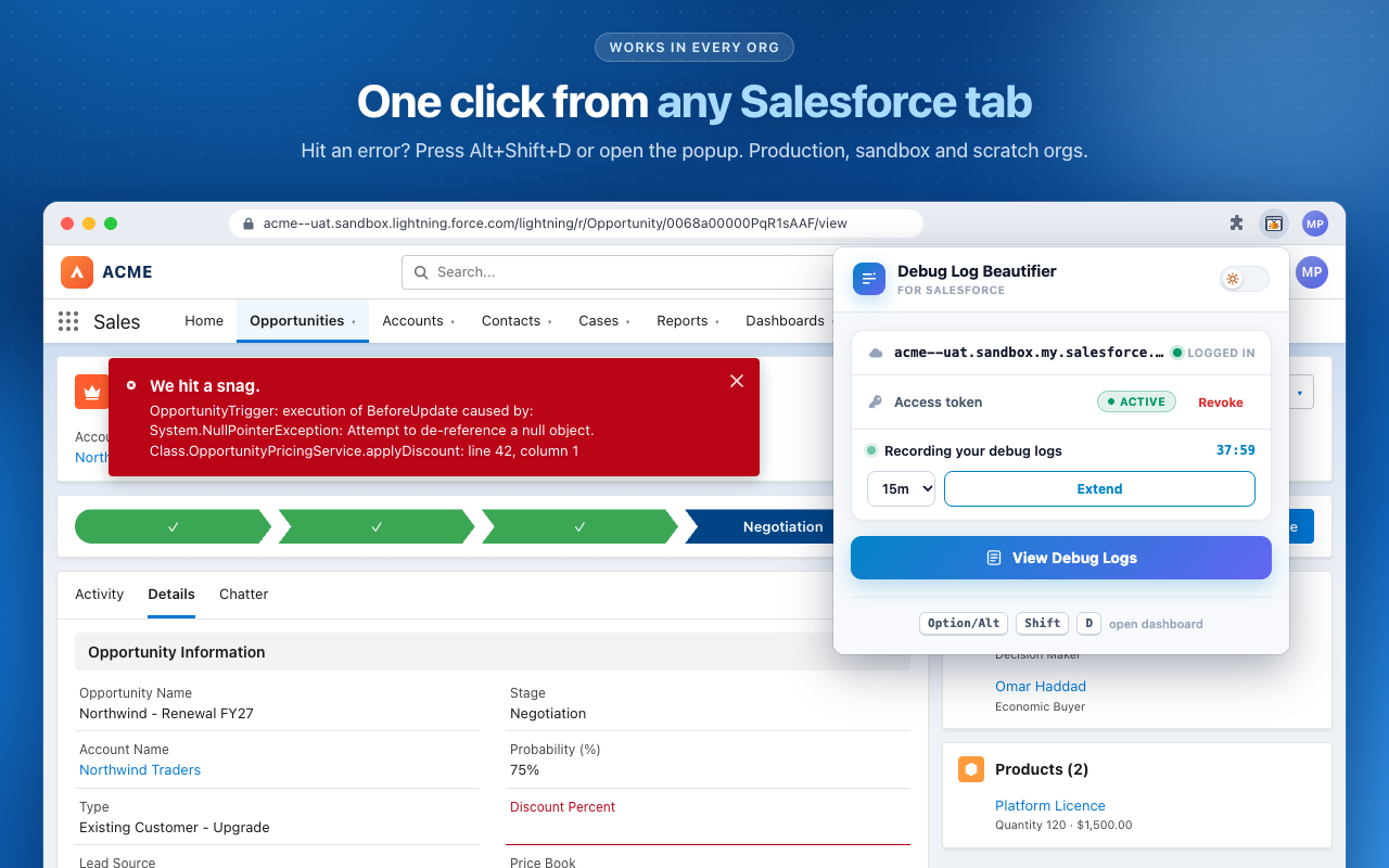 Salesforce Debug Log Beautifier - 截图 5