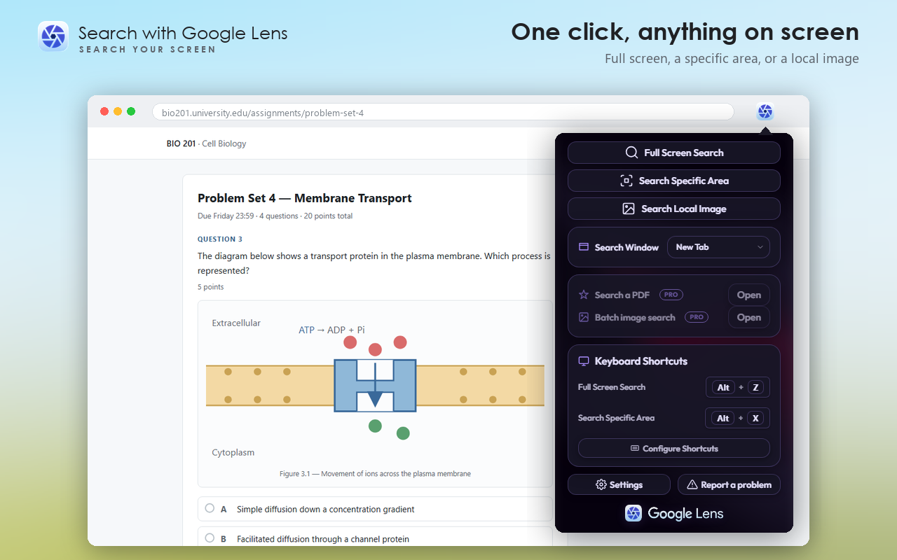 Google Lens - Search your screen - 截图 1