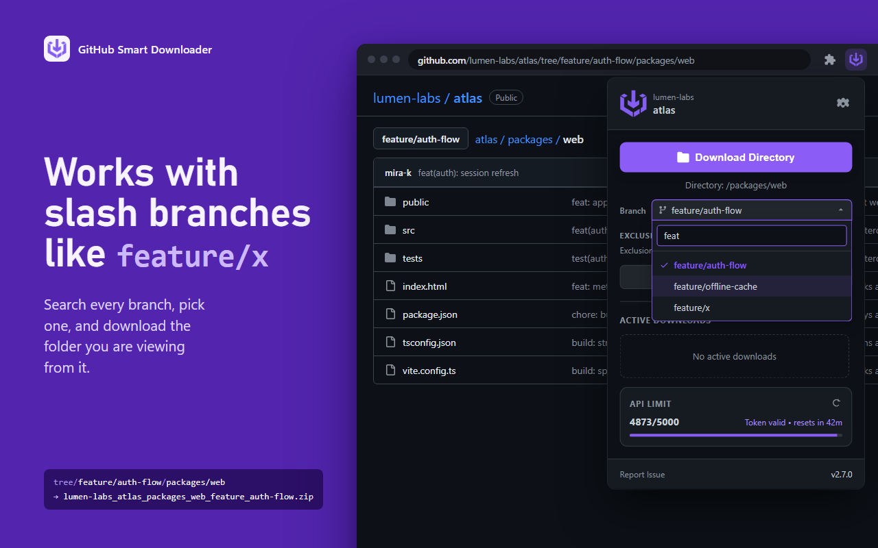 GitHub Smart Downloader - 截图 3