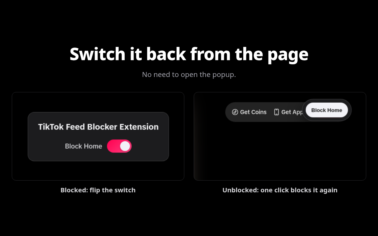 TikTok Feed Blocker - 截图 3