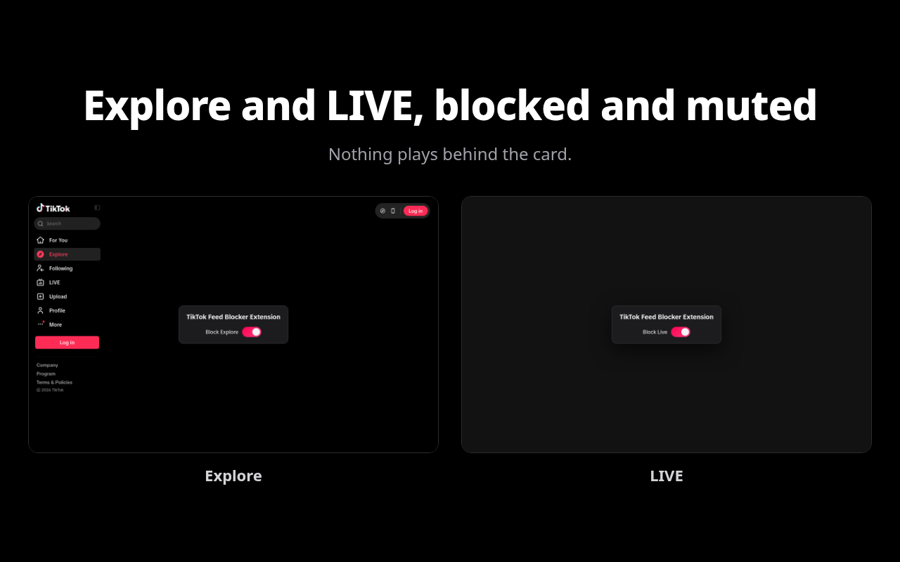 TikTok Feed Blocker - 截图 4
