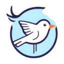BirdTab - 鸟类壁纸与自然音效的新标签页